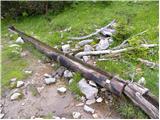 Erjavčev rovt - Planina Dovška Rožca